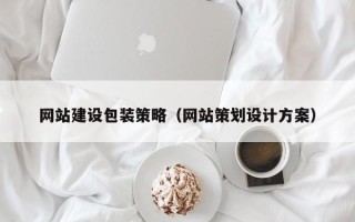普洱网站建设包装策略（网站策划设计方案）